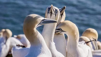 KAIYUNAPP-赛车工程师揭秘：调校技巧让速度更上一层楼，赛车工作